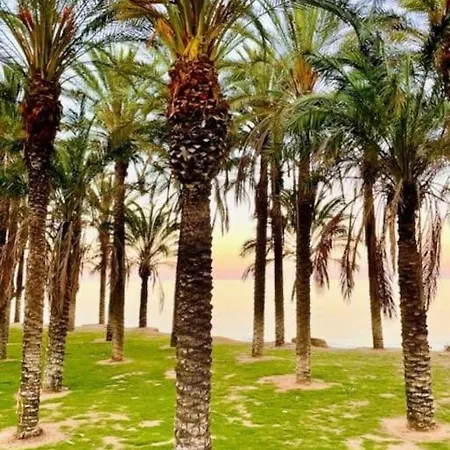 Ventana Al Mar Pool And Access With Elevator Lejlighed